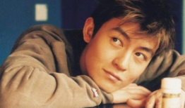 陈冠希艳照门视频,揭秘娱乐圈隐私危机